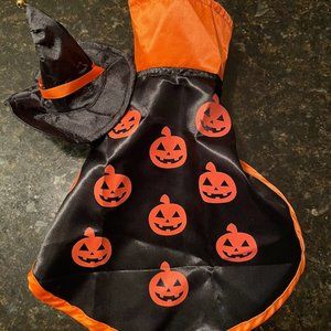 Halloween Cape and Hat for Cat or Dog  New!